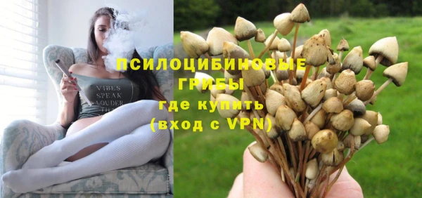 a pvp Алзамай