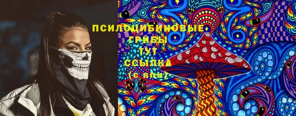 a pvp Алзамай