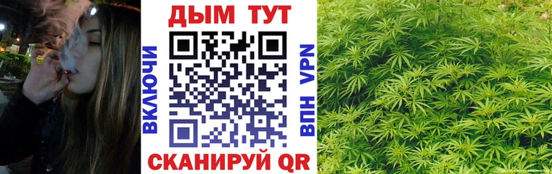 Марихуана план  MEGA зеркало  Кашин 